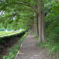 目眩が辛い人、集合✴️