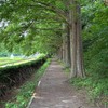 目眩が辛い人、集合✴️