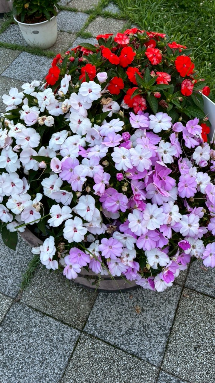 目眩が辛い人、集合✴️