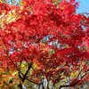 目眩が辛い人、集合✴️