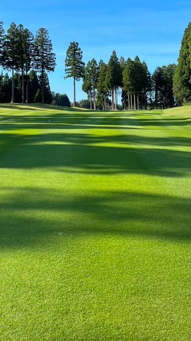 平日ゴルフ兵庫⛳️