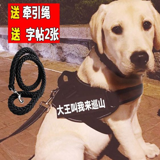 k9胸背帶牽引繩中型犬狗?子大型犬金毛拉布拉多遛狗繩薩摩狗背心