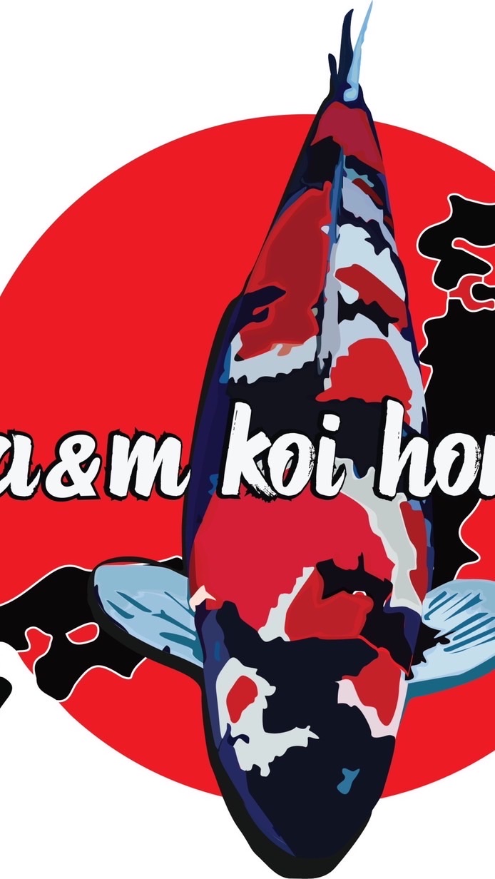 A&M koi house พูดคุย ซื้อขาย/แลกเปลี่ยน/อาหารปลา