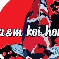 A&M koi house พูดคุย ซื้อขาย/แลกเปลี่ยน/อาหารปลา