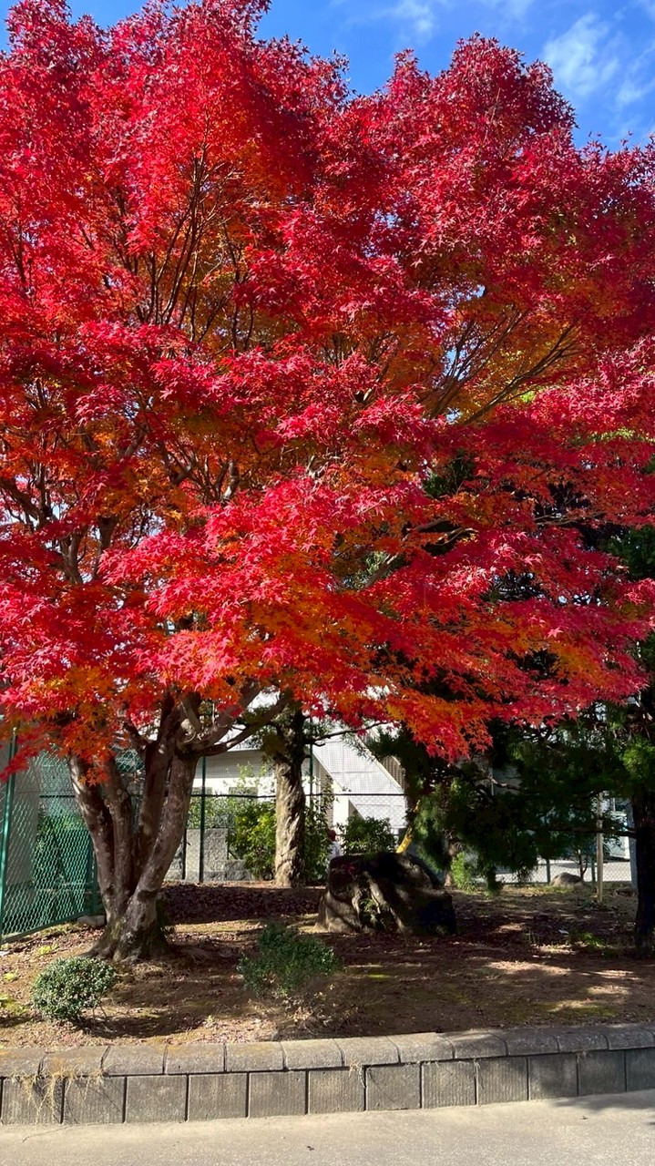 令和8年度韮山高校卓球部