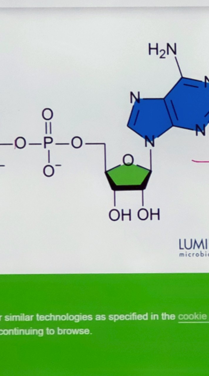 咱204的感情