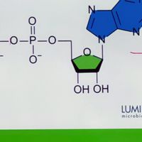 咱204的感情