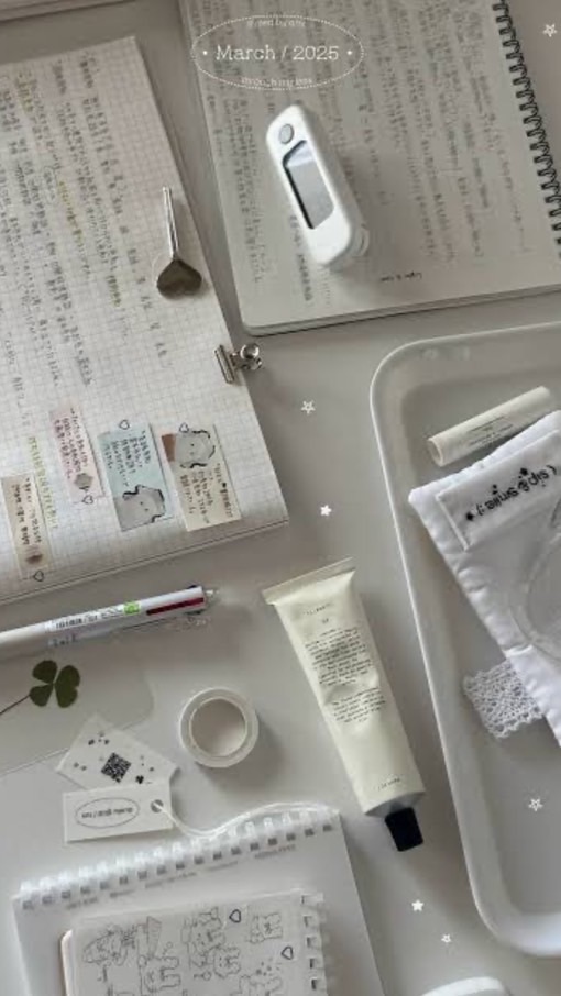 🎀女子学生限定💧雑談多め勉強垢