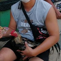 ซุ้มไก่ชน​ ส.สมโภชน์