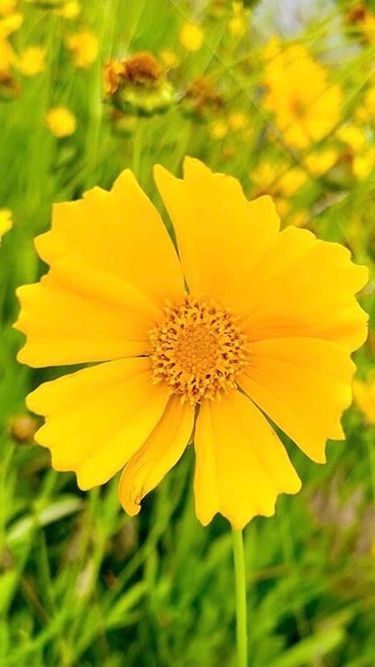 筋膜✖️ストレッチ 火曜日class