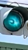 信号機好き集まれ！