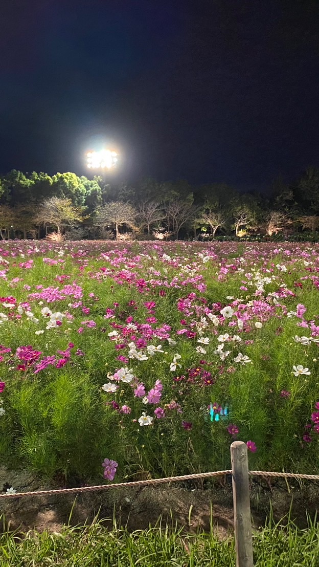 🌸介護で働く人達の部屋🌼