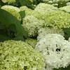 🌸介護で働く人達の部屋🌼