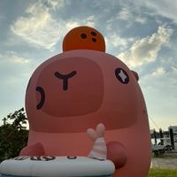 快樂小狗狗生