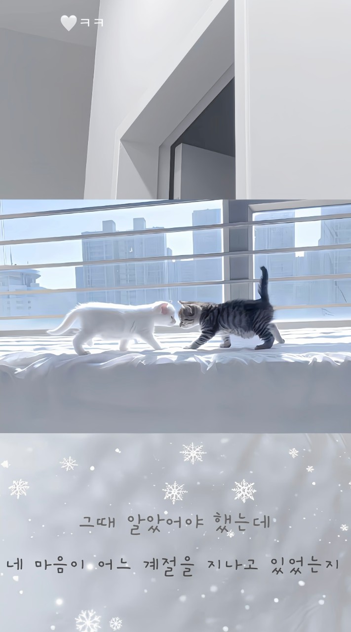 ˚. ⊹ ♰ まるで夢のようഒ ₊˚