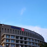 詐欺師たち