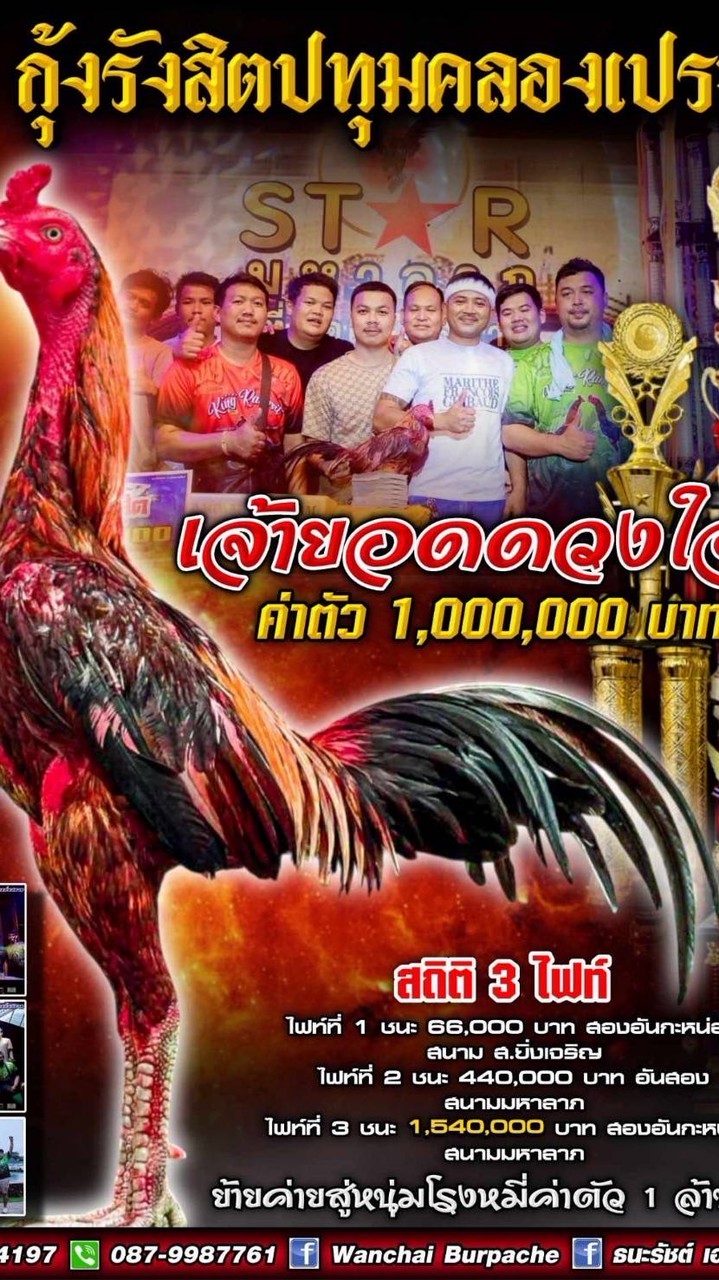 ซุ้มไก่.กุ้งรังสิตปทุมคลองเปรม