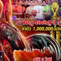 ซุ้มไก่.กุ้งรังสิตปทุมคลองเปรม