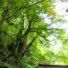 哲学・思想・世界平和・環境問題に興味がある人の集い