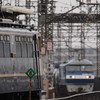 スジの広場　#IKST好きも募集