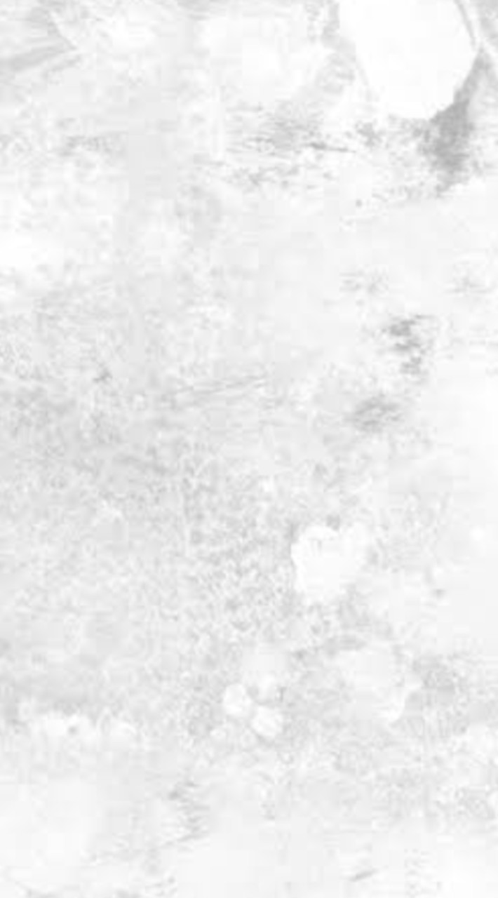 雑談,ゲーム,アニメ,好きなYouTube（歌い手），