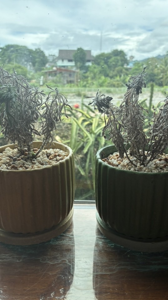 คุยกับน้องสกายเชิญห้องนี้