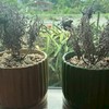 คุยกับน้องสกายเชิญห้องนี้