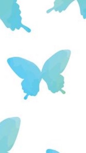 蝴蝶班🦋