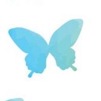 蝴蝶班🦋