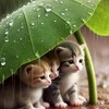 🌈🐉🐻‍❄️🌸🌀คุยแก้เหงา💯🎉คนโสดคนเหงามาคุยกัน🌸🥳บันเทงเฮฮา🔥☃️☔⚡🌿
