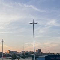 海龜湯