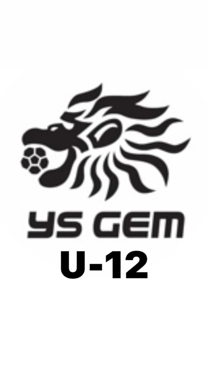 YSGEM 卒業大会