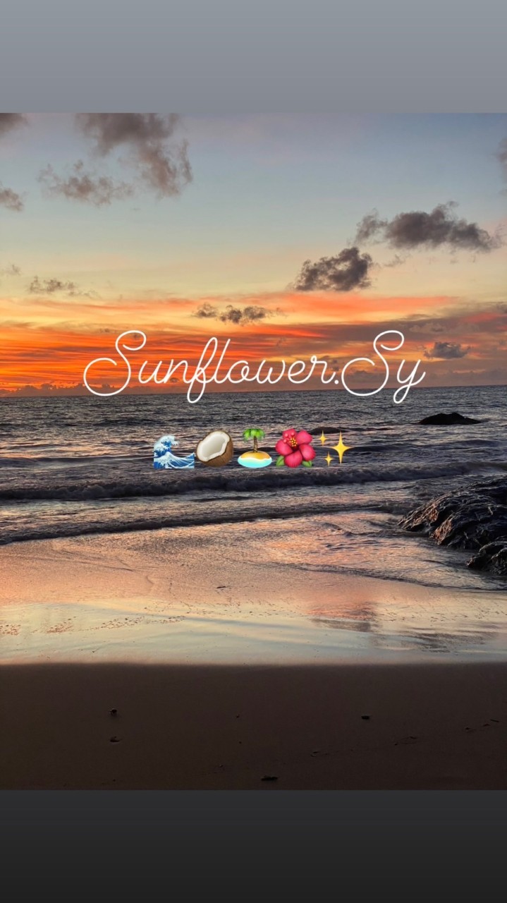 Sunflower.syyy Shop