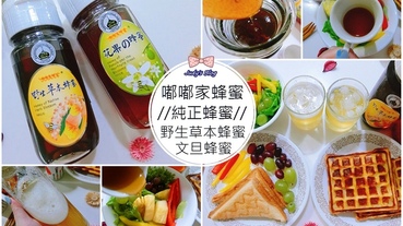 【宅配食品。蜂蜜】純蜂蜜哪裡買|找純正蜂蜜在這裡|｢嘟嘟家蜂蜜｣|完熟蜂蜜|野生草本蜂蜜X文旦蜂蜜，真蜂蜜讓人健康又甜蜜!