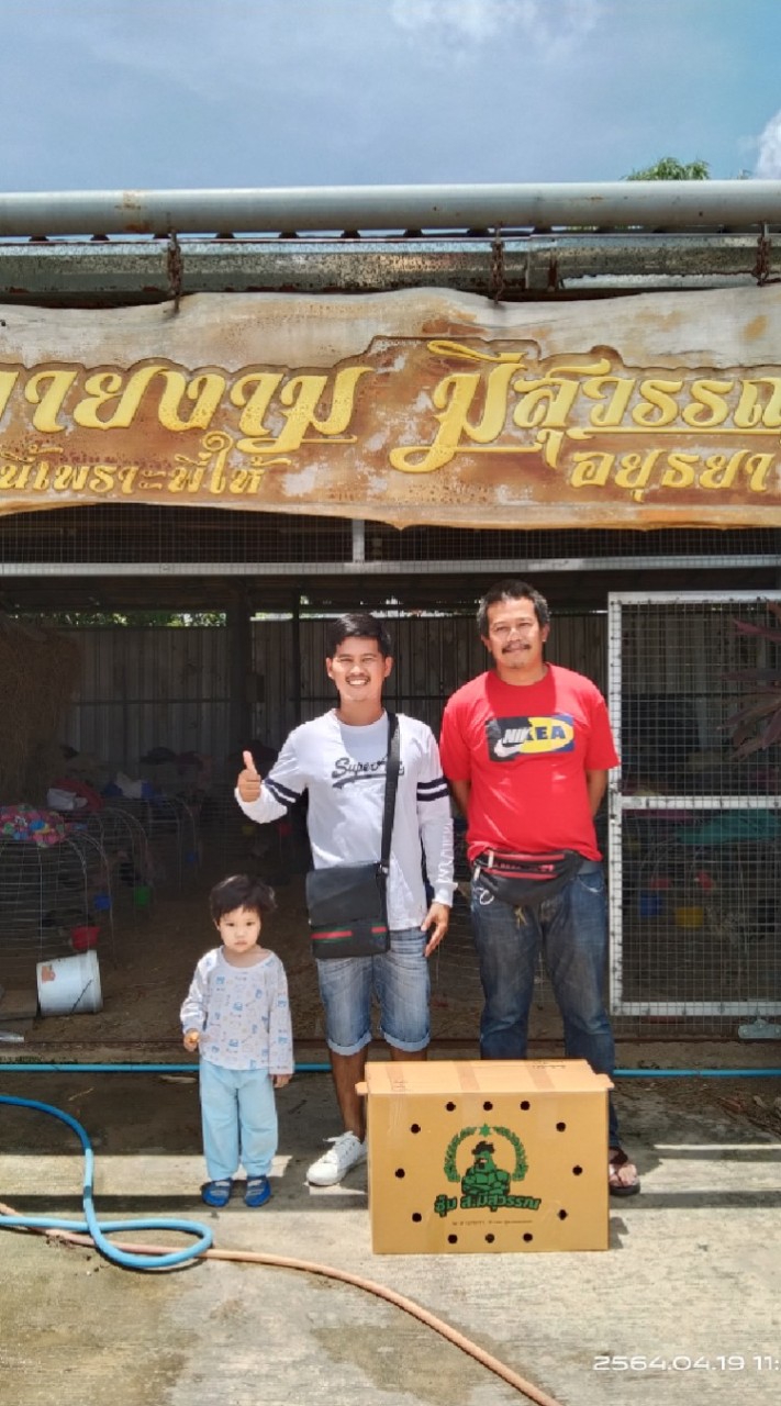ซุ้มธนูทองฟาร์ม
