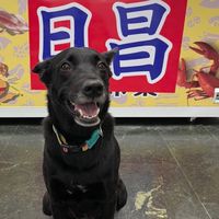 日昌水產海鮮