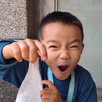 今晚要不要放殼