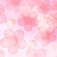 vs毒親