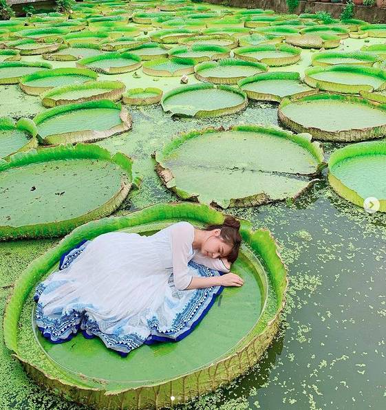 圖片來源 / IG @sophyhaha2