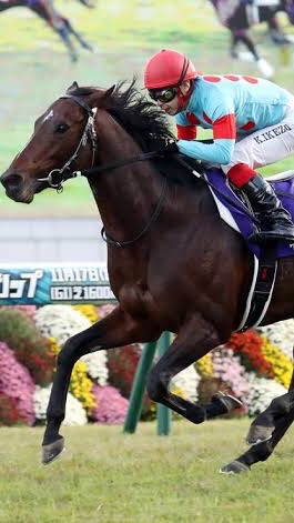 ゆる競馬サークル🐎のオープンチャット