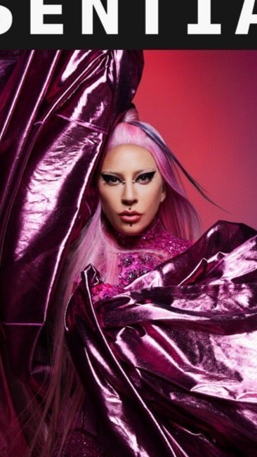 Lady Gaga の部屋