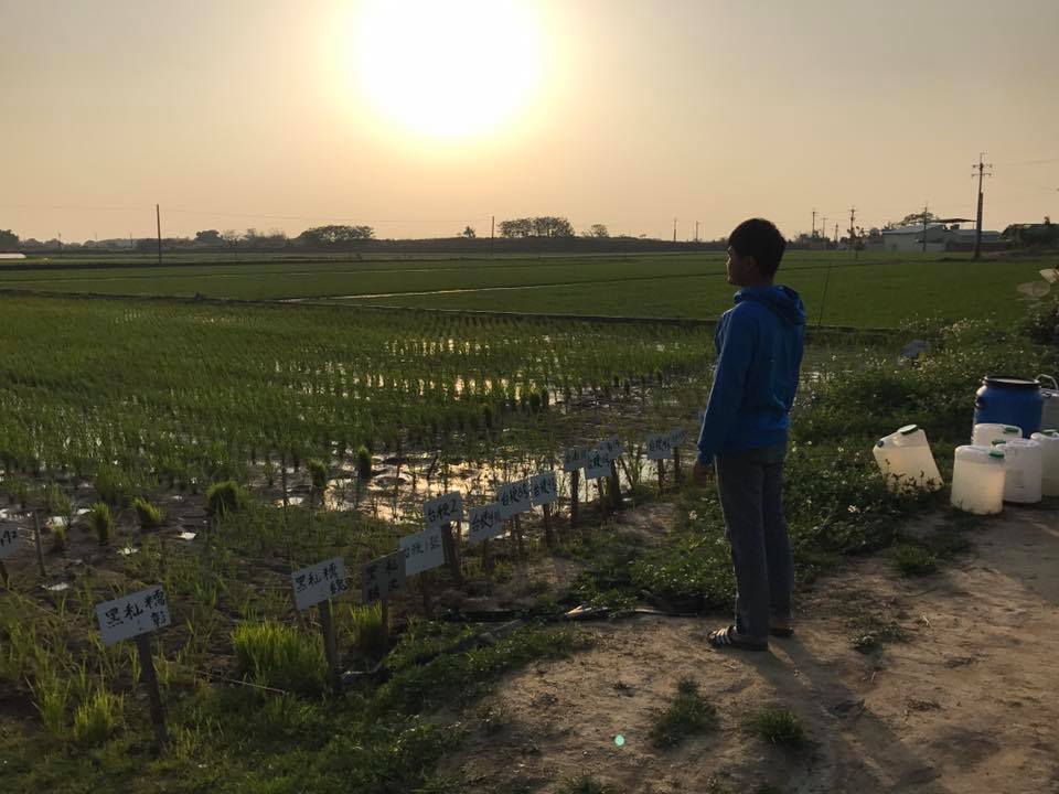 食農教育-妳好南搞-南國微醺-02