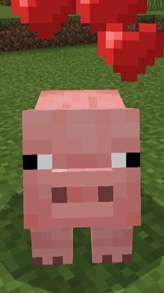 for maj0r