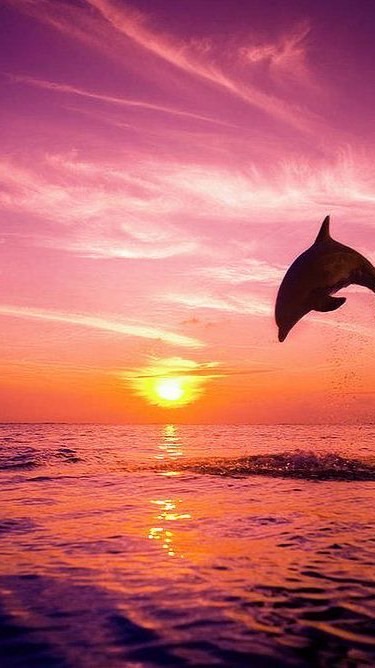 雑談で盛り上がろうぜ\(*°∀°*)/