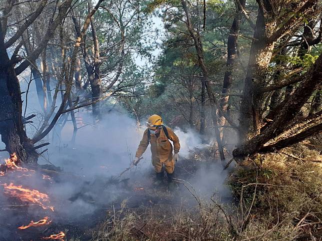 火災 山林 日本櫪木山林火災延燒4天 陸空持續灌救