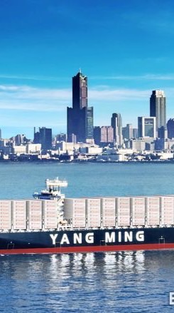 陽明海運內部討論群組🚢