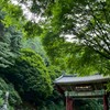 11401（三1）基礎韓文