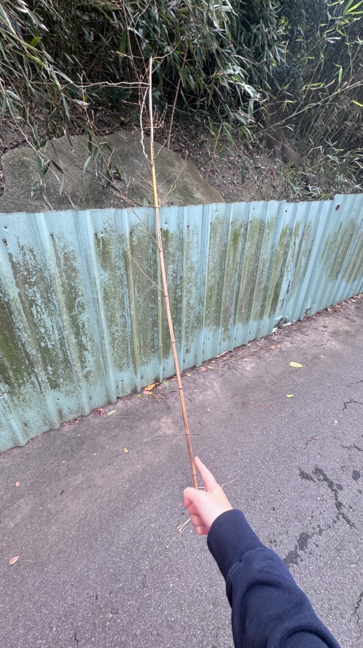 大屁
