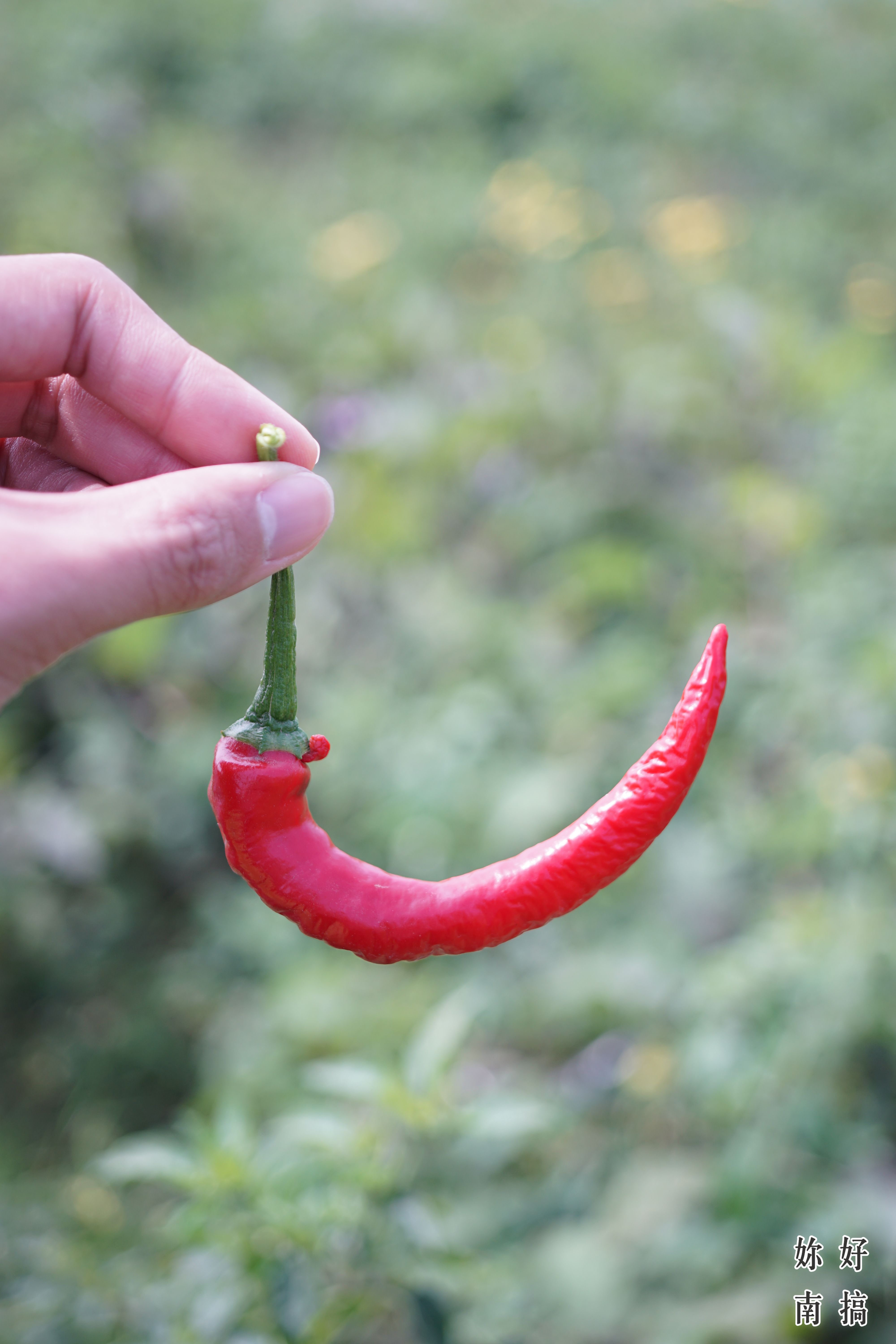 將軍景點-妳好南搞-16