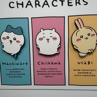 蔓日*吉伊卡哇日本代購